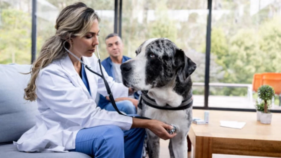 ¿Cuáles son las efemérides del 17 de agosto en México y el mundo?