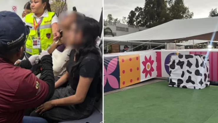 estructura feria puebla