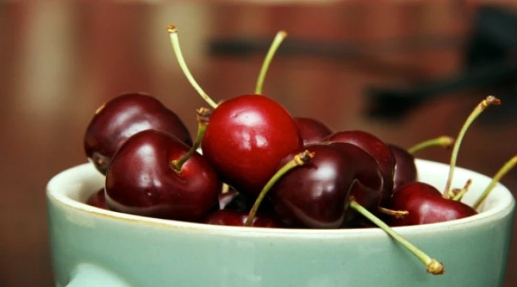 Una institución en EU dio a conocer una serie de alimentos que, si bien no garantizan estar libre del riesgo de contraerlo, sí puede reducirlo