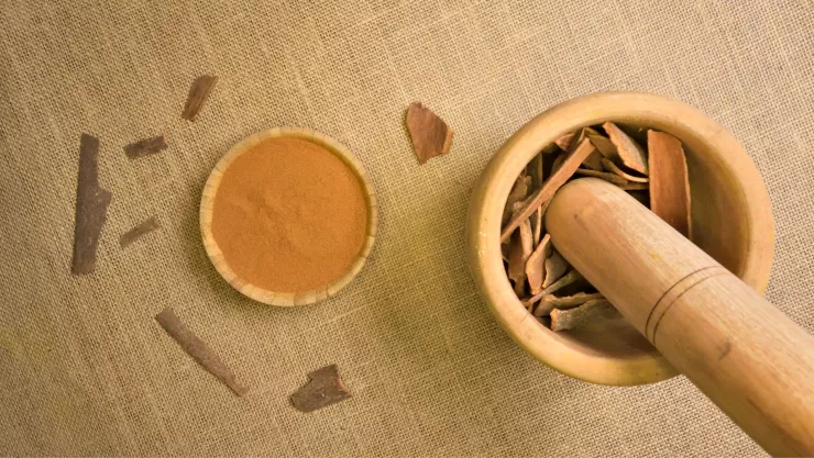 Técnicas para usar canela en las plantas. ¡Escoge tu favorita!