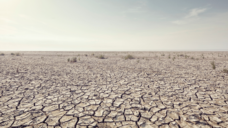 Aumento de la temperatura en la Tierra la dejaría inhabitable para los seres vivos