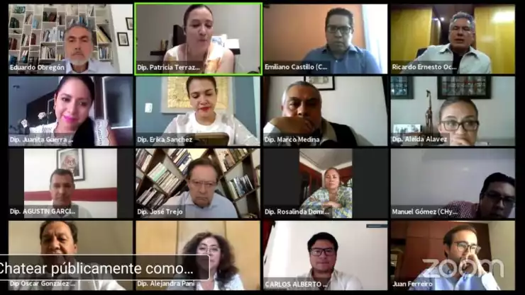 sesión virtual diputados.jpg