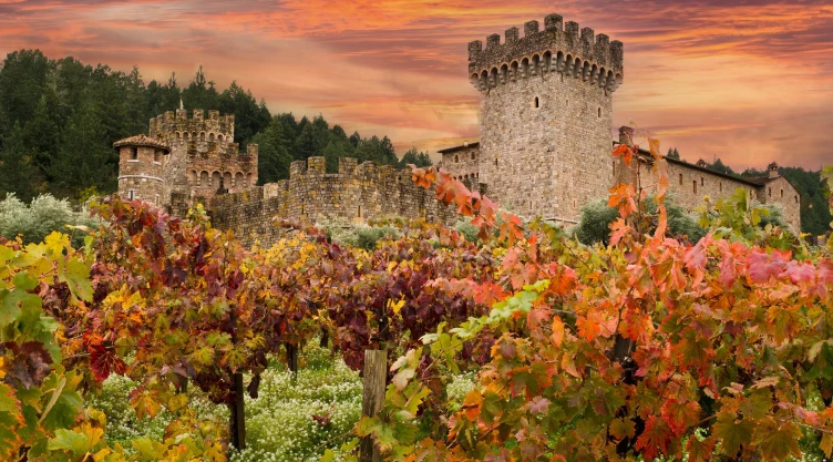 una vista de los viñedos de Napa Valley en California