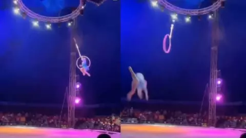 VIDEO Trapecista cae en plena función de circo a 5 metros de altura