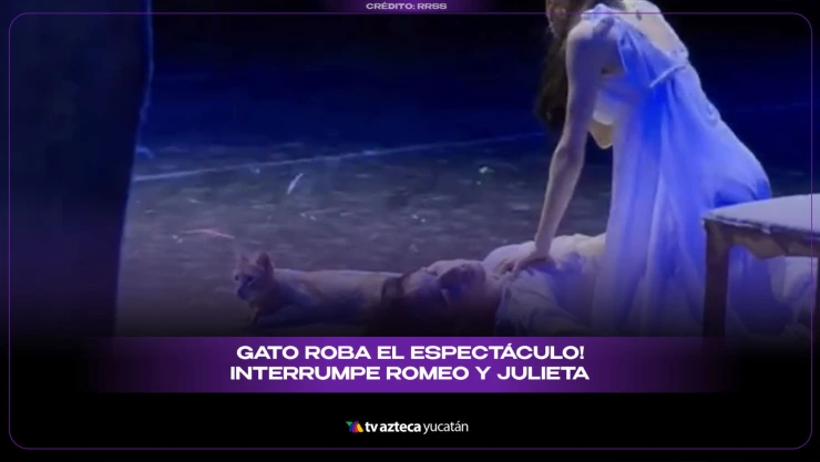 Gato se roba el show en Romeo y Julieta; desata risa en plena escena dramática