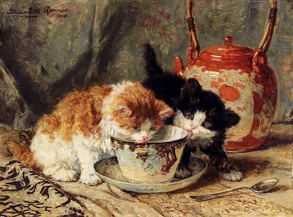 Pinturas de los gatos