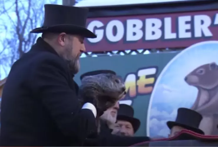 Punxsutawney Phil marmota 2.jpg