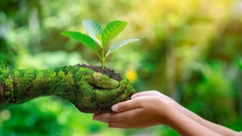 Medio Ambiente