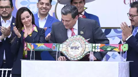 cinturon especial canelo ryder box