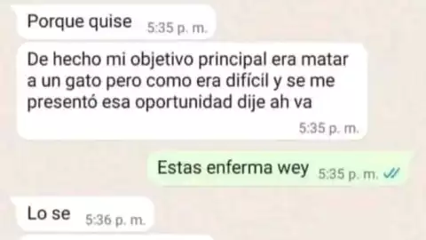 Exigen justicia para el perrito Huellitas, tras ser asesinado cruelmente por estudiante