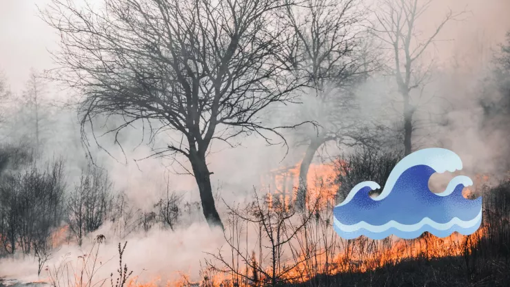 Esta es la razón por la que no se puede utilizar el agua del mar para apagar incendios