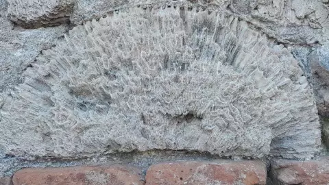 Casa Hernán Cortes en La Antigua.