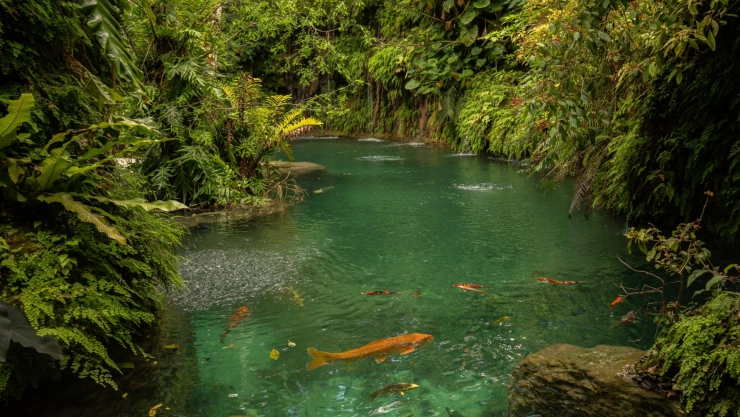 el paisaje que deslumbra en Patch of Heaven Sanctuary.