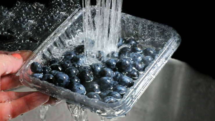 ¿Cómo lavar arándanos o frabuesas correctamente? Aquí la respuesta