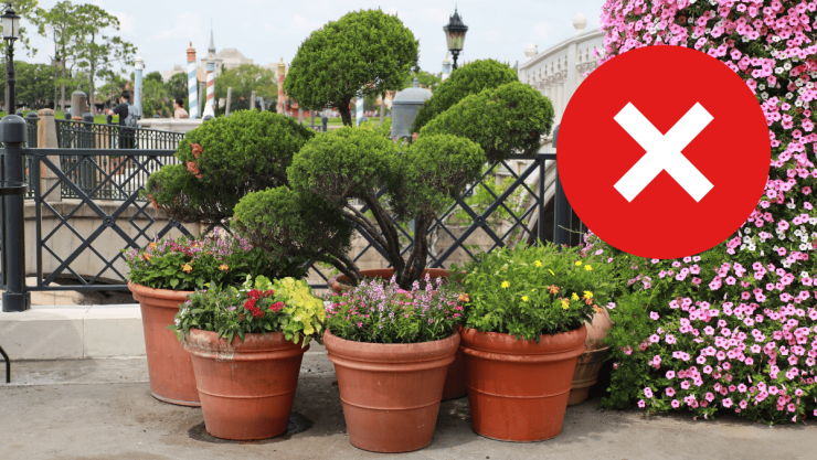 ¡Adiós a las clásicas macetas! Esta será la nueva tendencia con la que podrás decorar tu balcón en la primavera 2026.png