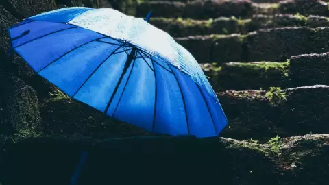 Clima Veracruz hoy, 14 de noviembre 2024: ¿Cuál es el pronóstico del tiempo por municipio?