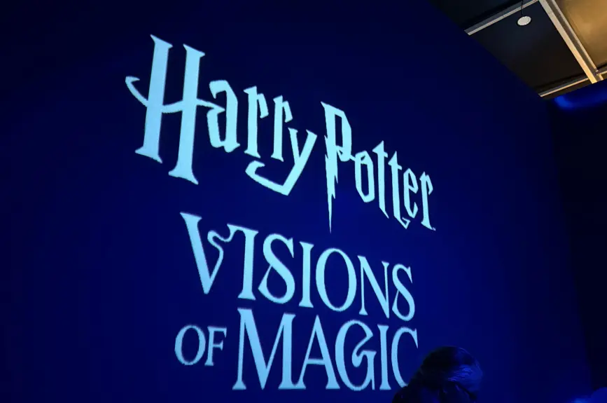 Iniciamos con la entrada: espacio en donde te dan tu varita mágica, pues esta será parte importante del recorrido para que disfrutes de todos los secretos de la magia.