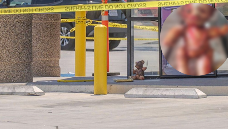 FOTO | Localizan oso de peluche hecho presuntamente de piel humana en California, Estados Unidos