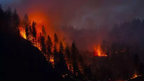 El calor de las llamas gener&aacute;n un incendio masivo