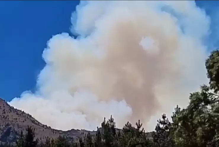Se registra incendio en el Pico del Águila en el Ajusco
