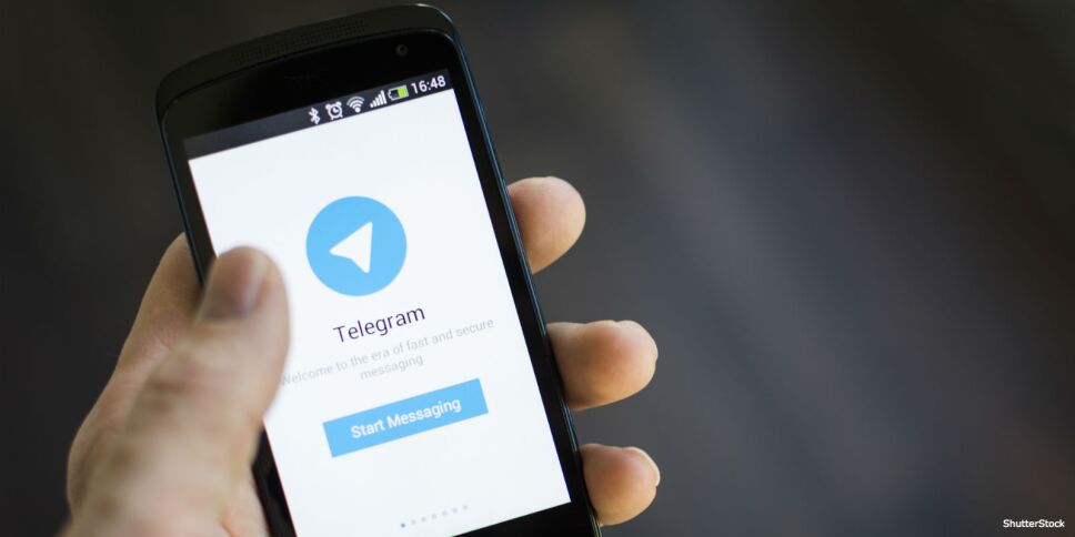 Telegram, videollamada, participantes
