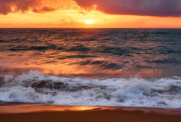 Encuentran cuerpo de deportista tras ataque de tiburón en California