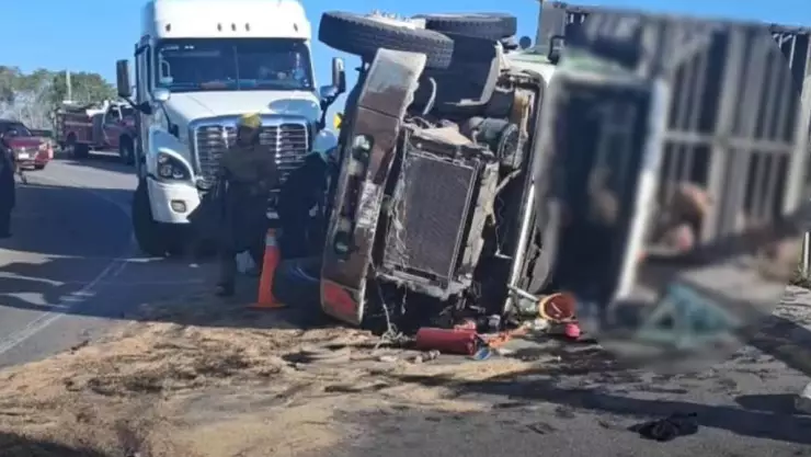 ¡Alerta! Vuelca camión con cerdos en Yucatán; reportan vía cerrada