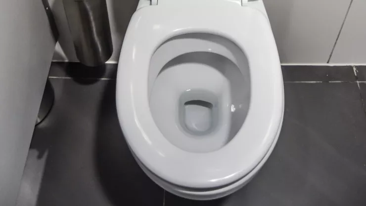 Truco para que la taza del ba&ntilde;o se limpie en cada descarga