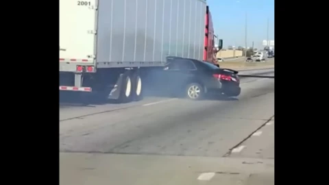 trailer conductora illinois