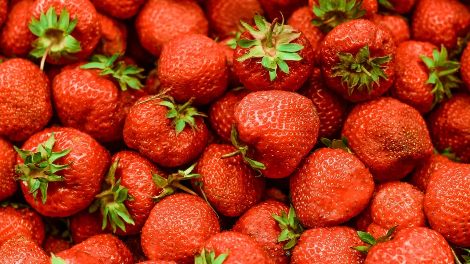 Muere niño luego de comer fresas en EU; ¿hay peligro con esta fruta?