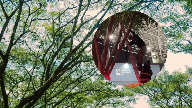 ¿Qué pasó en la alcaldía Álvaro Obregón?