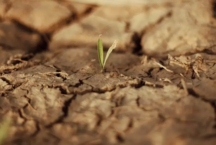 Coahuila, sin respuestas ante sequía en México; es uno de los estados más afectados.jpg