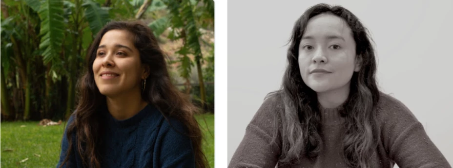 Screen Shot 2021-02-08 at 5.18.56 PM.png