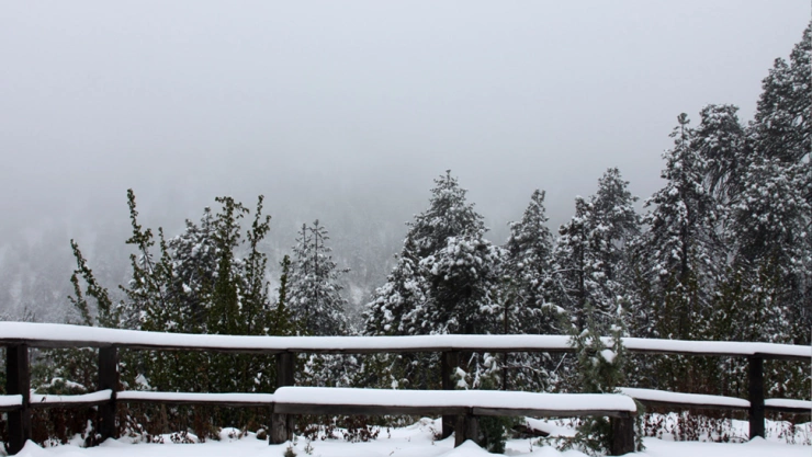 Parque Nacional Nevado de Colima