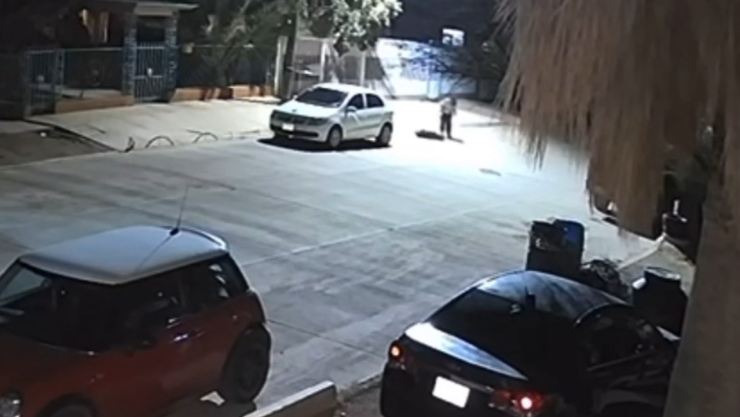 Maltrato animal en Chihuahua