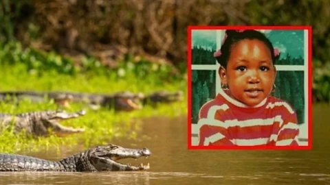 Fue rechazado por una mujer y en venganza ABANDONÓ a su hija entre caimanes; todo terminó en tragedia