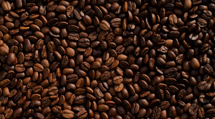 ¿Por qué había cocaína escondida en granos de café?