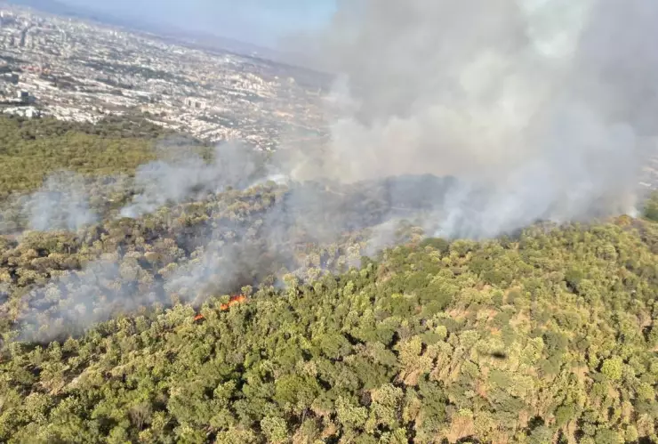 Incendio en el Bosque de la Primavera provoca una intensa movilización de elementos de seguridad