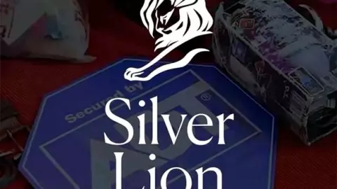 Silver Lion ADT