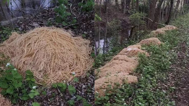 Encuentran más de 200 kilos de pasta en los bosques de Nueva Jersey