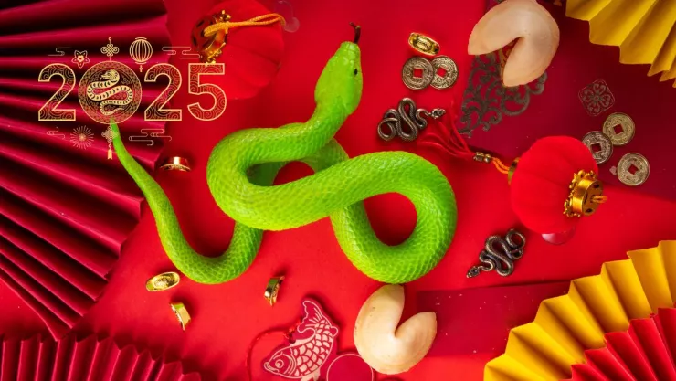 El amuleto de la suerte que debes usar en el año de la serpiente de madera