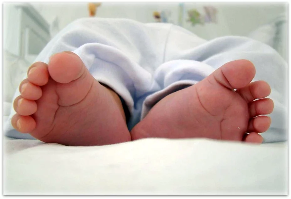 00001bebe11.jpg