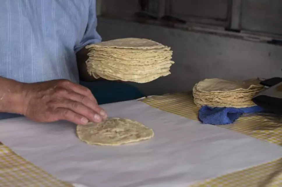 Este es el precio del kilo de la tortilla en todos los estados