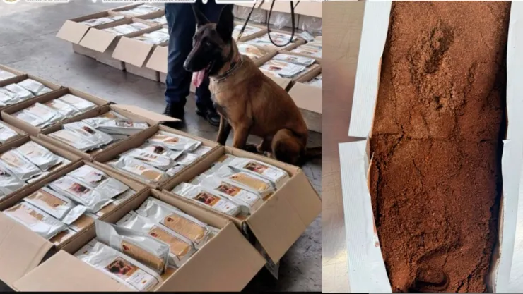 Cocaína en cargamento de café; así fue detectada una tonelada en el AICM