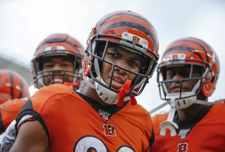 Arizona Cardinals v Cincinnati Bengals