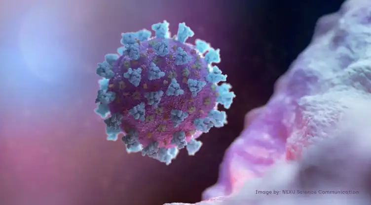 coronavirus virus