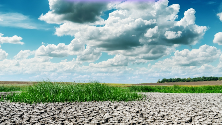 Clima bipolar en Morelos.