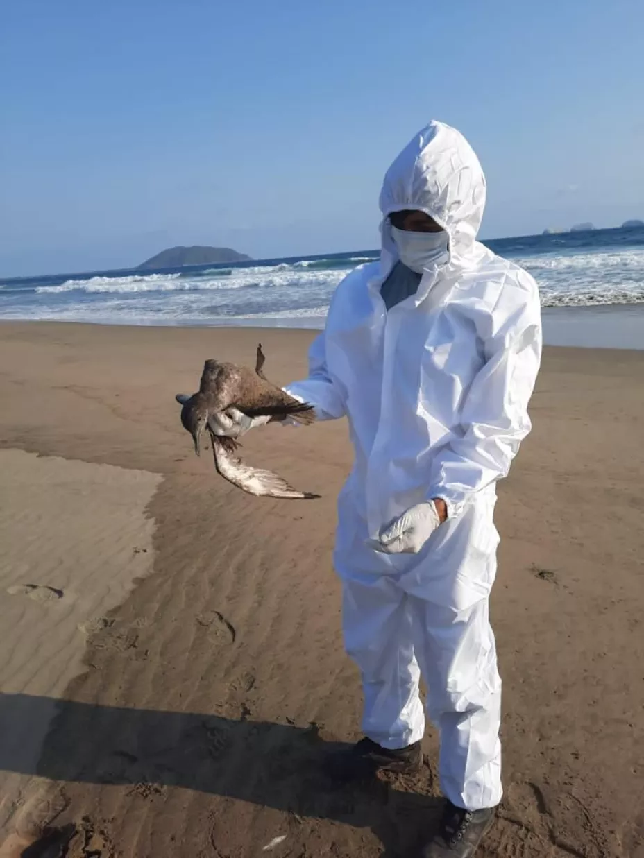 Sader 10 de junio.jpeg