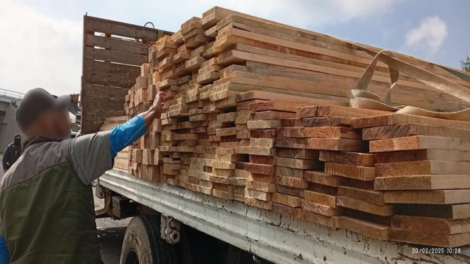 tala ilegal Parque La Malinche.jpg