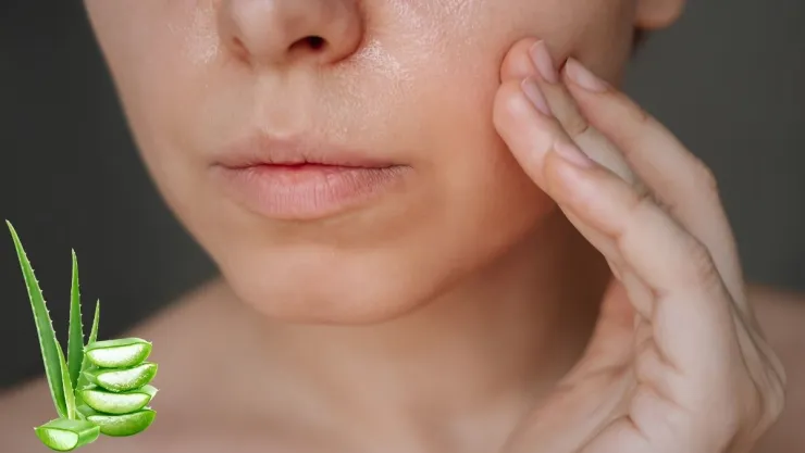 3 beneficios para mejorar tu piel del aloe vera que te sorprenderán.jpg